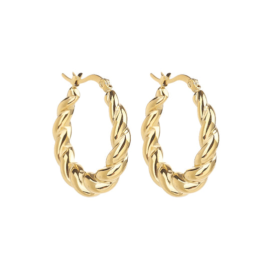 Stainless Steel Hoop Earring for Women Hypoallergenic Jewelry for Sensitive Ears Large Big Hoop Earrings